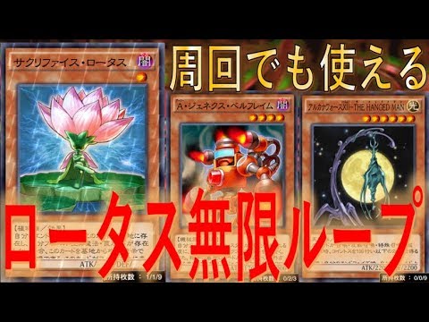 攻撃力 周回でも使える サクリファイス ロータス無限ループバーン 遊戯王デュエルリンクス Yu Gi Oh Duel Links Youtube