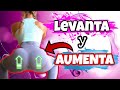 5 MEJORES Sentadillas para AUMENTAR (o levantar) GLÚTEOS y Piernas en casa o gym !!!