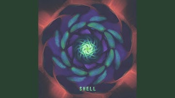 Shell (feat. Wang Xuyang)