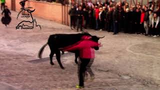 TORO DE SAN NICOLÁS 19 DE MARZO DE 2022