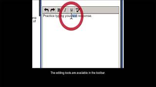 DRC-Writing Prompt screenshot 5