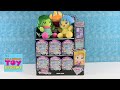 Disney Doorables Series 6 Jeweled Princess Blind Box Opening | PSToyReviews