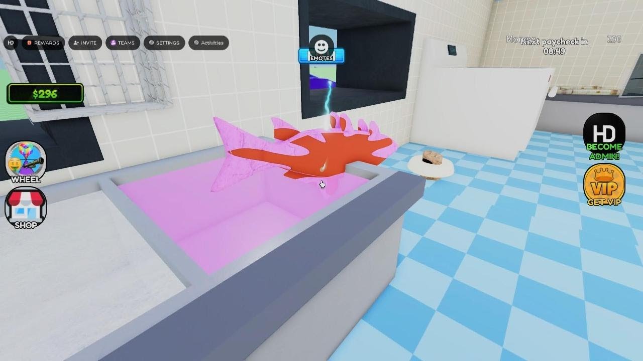 Roblox_20260218183736