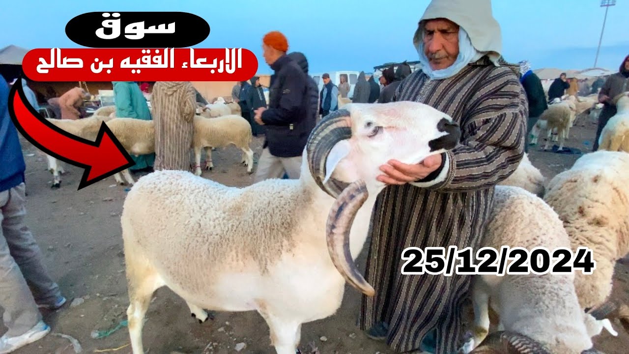 اليوم من سوق الأربعاء الفقيه بن صالح  25/12/2024 مع تمن حولي و النعجة 🐏🐏🇲🇦