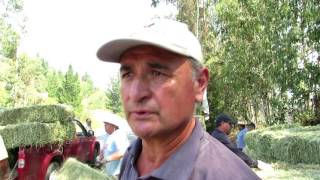 SAN ESTEBAN AYUDA A LA COMUNA DE CUREPTO
