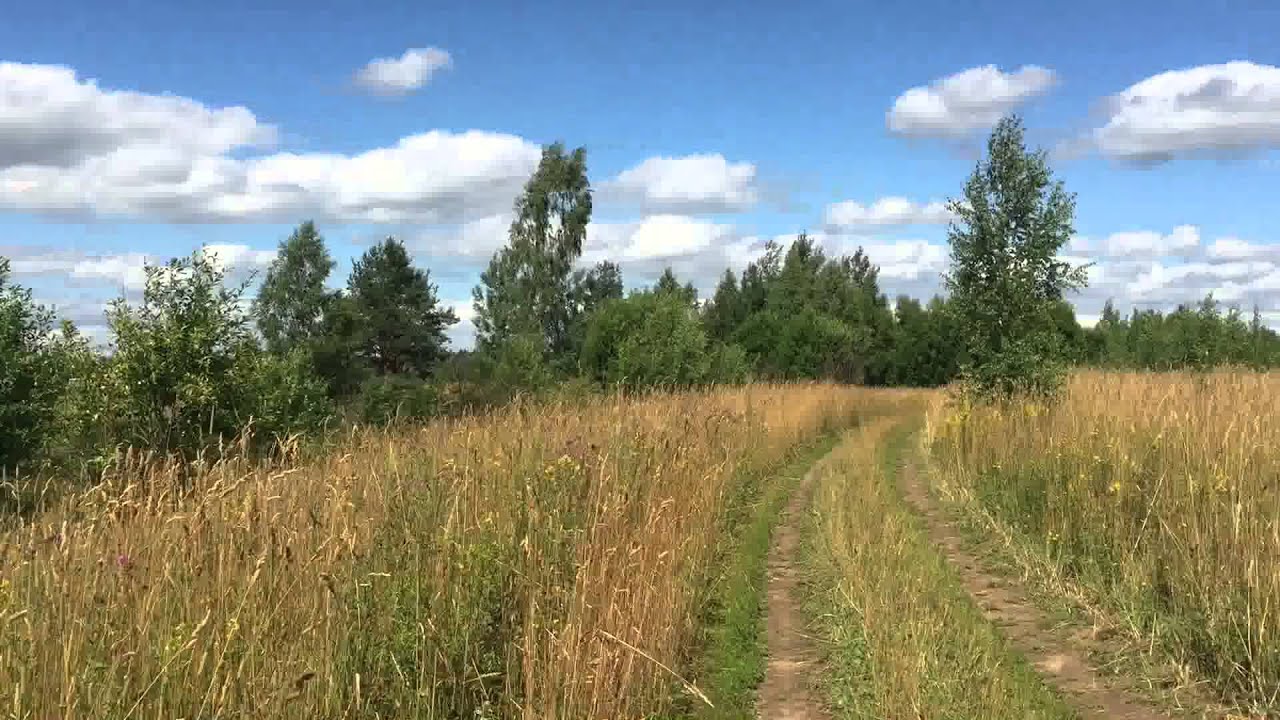 Купить участок в луге. Турово Луга. Турово Луга озеро. Турово Серпуховский район. Турово Лужский район поле.