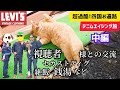 【リーバイスlvcS506XX】エイジングを促す超過酷四国お遍路旅【中編】　#アメカジ #セットアップ #デニム #色落ち #フェード #やり方 #裏技 #ヨークシャーテリア #努力 #積み重ね 