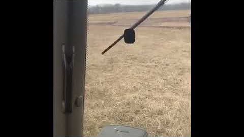 chisel plowing weeds and discing a small field