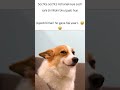 Bimari #memes #popular #viral #funnymemes #tweetreels #bimari