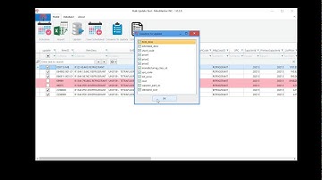 Prophet 21 Epicor ERP Mass Pricing Update Tool Demo 2