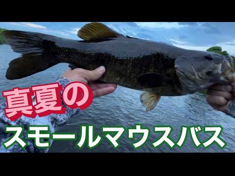 夕マズメ！いや朝マズメ一択の件【バス釣り】
