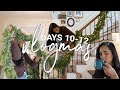 Decorating Our Stairs For Christmas, Breville Chronicles, Snow Days | VLOGMAS DAYS 10 - 12