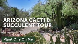 Arizona CACTI & SUCCULENT TOUR at Tucson Botanical Garden — Ep. 329