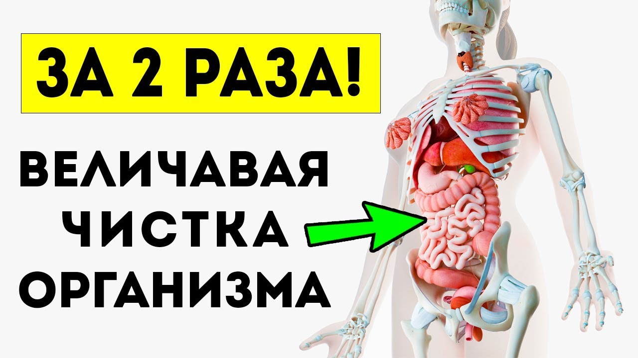 После 1 СТАКАНА ощущаешь как организм... Очистка кишечника, желудка ...