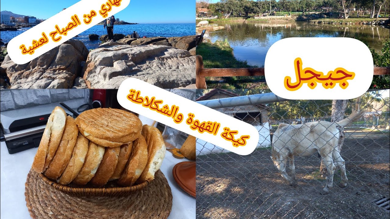 روتين من الصباح لعشية💥كيكة القهوة والشكلاطة تحويسة في جيجل