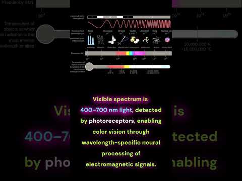 Atomic Perspective of Color