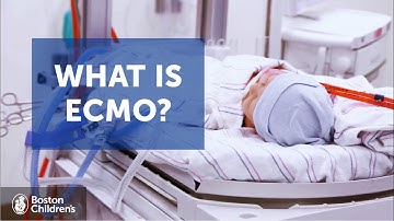 What is ECMO? | Boston Children