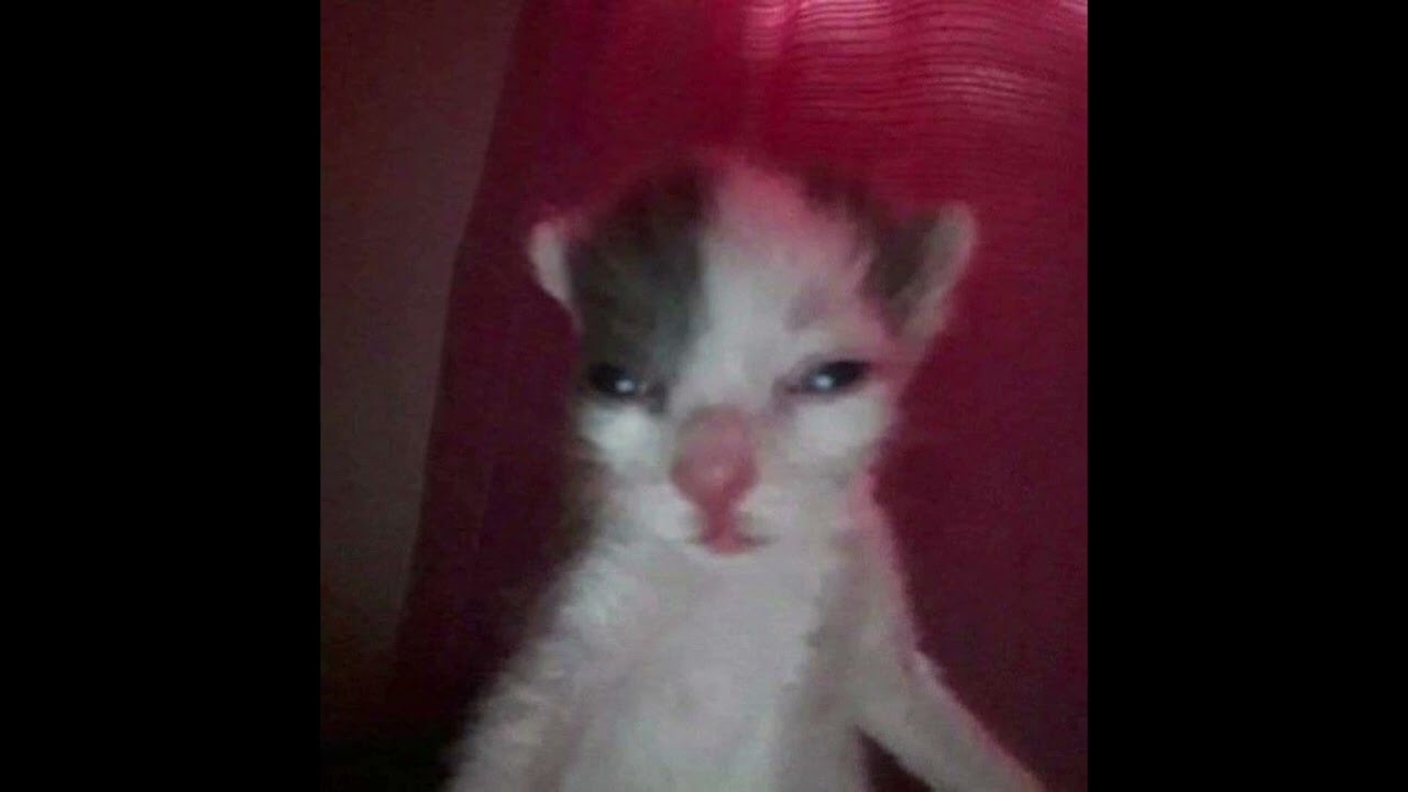 [FREE] TRAP METAL DRUM N BASS TYPE BEAT(prod.SMXKY PETE X 