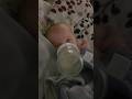 Hamster Feeding POV #baby