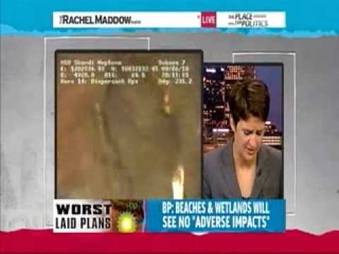 "What Are The Response Plans Of Other Oil Companies For Blowouts In The Gulf"