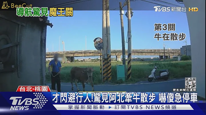 导航调皮了!遭带闯「道路挑战」 驾驶心惊惊 ｜TVBS新闻 - 天天要闻