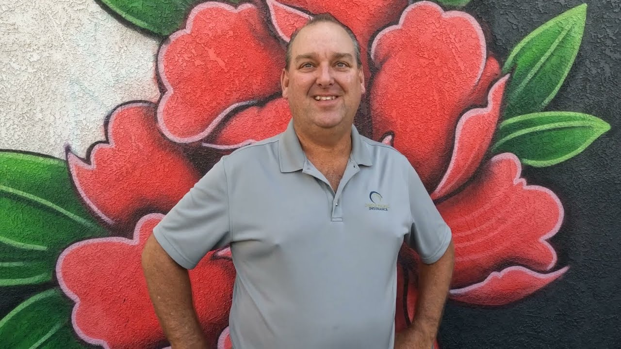 DoMo Walls Modesto CA 3 | Shane Grammer Arts Reviews