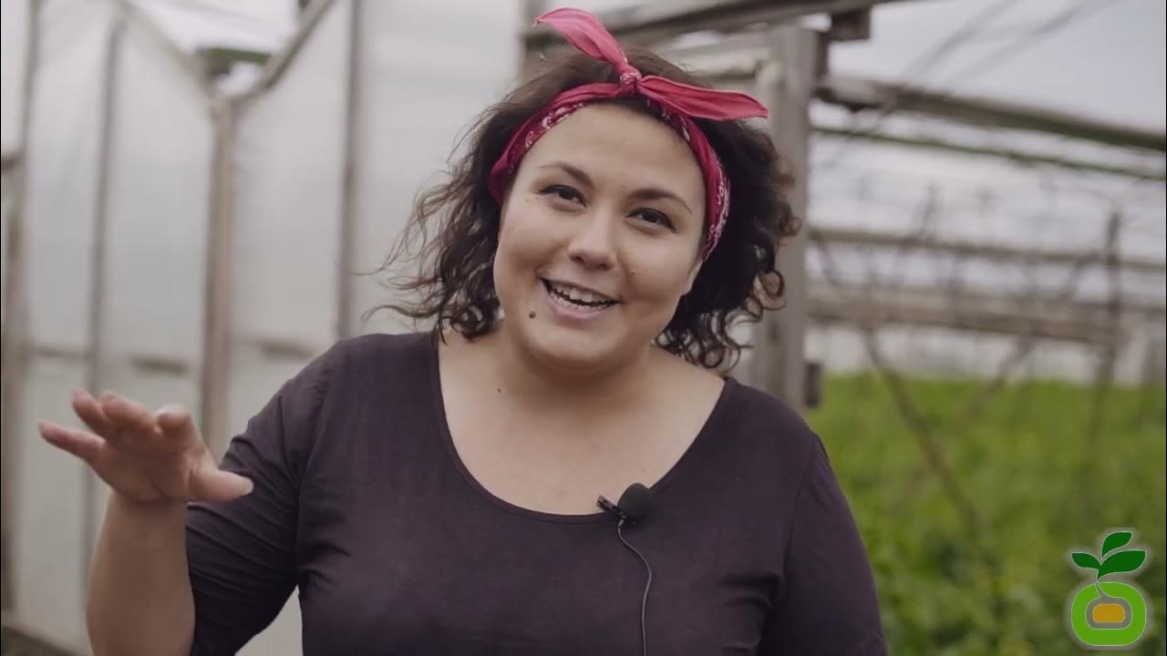 Обзор самых лучших сортов томата! Томат Малиновый звон - один из лучших ...