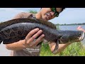 Fishing EXPERIMENT: LIVE Bait vs. ARTIFICIAL Lures!!! (FRANKENFISH INFESTATION)