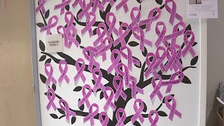 York small business owner shares breast cancer journey to raise awareness