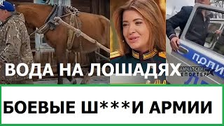 Боевые Ш***И Армии России / Вода На Лошадях