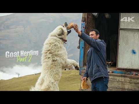 Video: Mbështetje Në Jetë: Ku Të Gjeni Mbështetje?