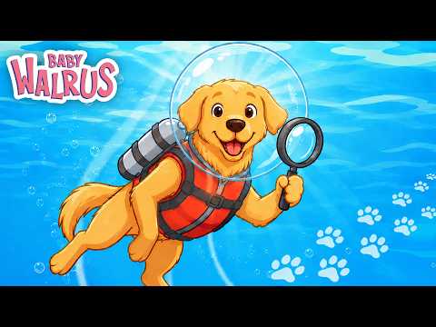 🐶🔍 Darcy Paws | The Detective Dog Song | Baby Walrus in Spanish 🐾