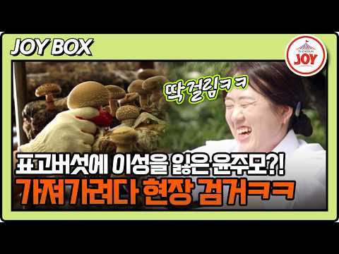 Trot Kitchen Episode 3-3