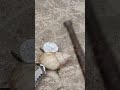 Amazing Casting Copper Silver Shells out of Scrap Perfect Restore #shorts #viralvideo #reels #art