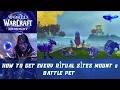 How to Get Every Ritual Sites Mount & Battle Pet from Daggerspine Point and Broken Throne | Midnight