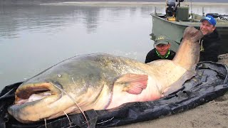 Angler macht nach 20 Jahren den Fang seines Lebens!