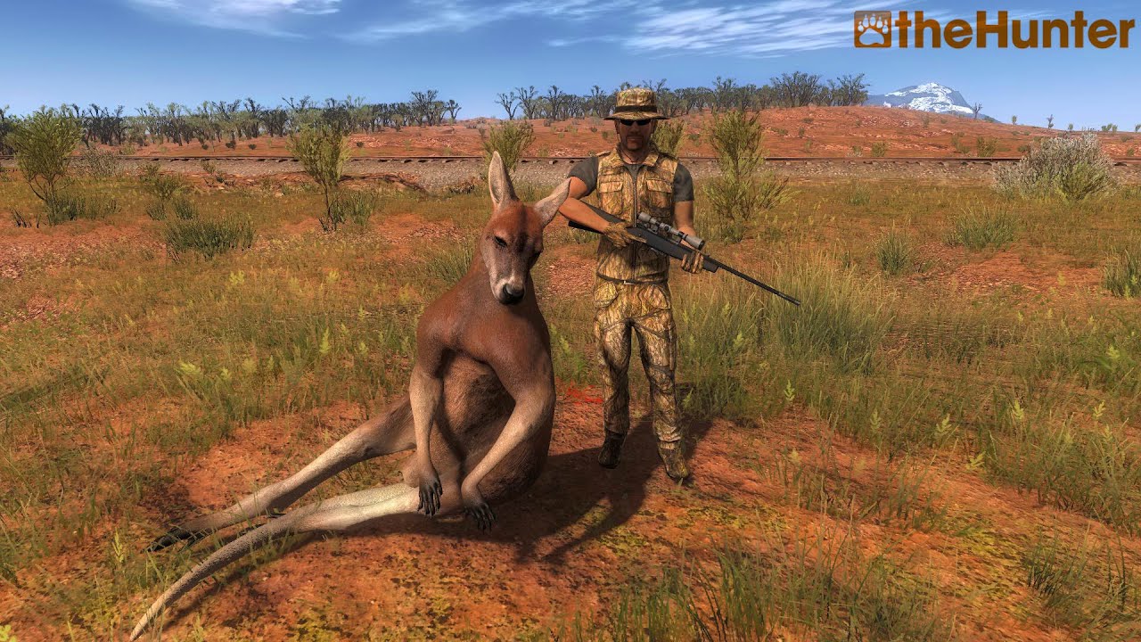 TheHunter Gameplay in Bush Rangers Run. Hunting Red Kangaroo with DatManLeeroy.