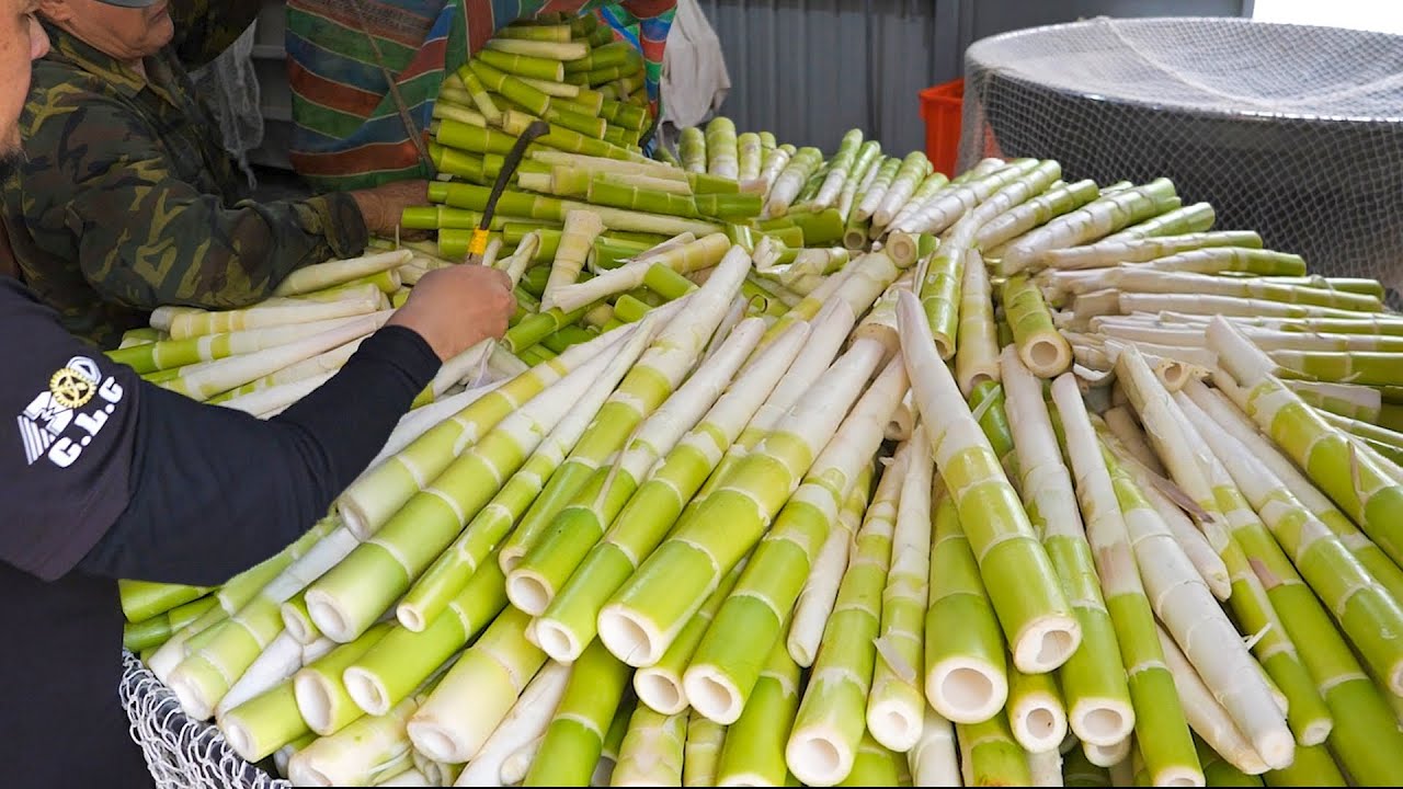 Обработка свежих побегов бамбука! Массовое производство сушёной капусты! Коллекция тайваньской еды