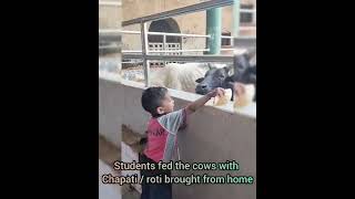 SPS Raigarh Pre Primary Life Skill Activity - Care for Pets 2026 screenshot 3