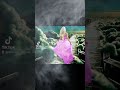 بنادي عليك احمد سعد بنادي عليك احمد سعد