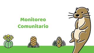 Monitoreo comunitario - Nutria