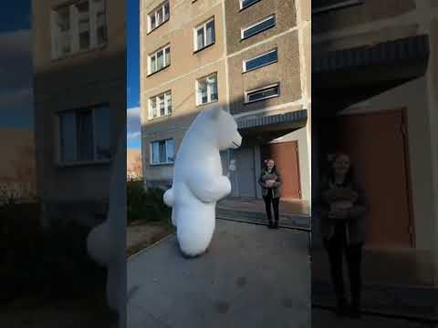 Сюрприз от друзей на день рождения Софьи 🥳 поздравляем. #shorts #поздравление #рекомендации