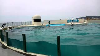 20140519鴨川シーワルド2