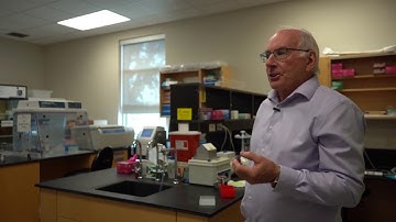 The Centre for Biodiversity Genomics: a look inside the world