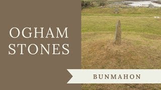 Ogham at Bunmahon, Co. Waterford - Visiting Ogham Stones in Ireland