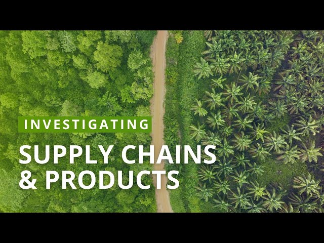 Investigating Supply Chains & Products | Mongabay Webinars