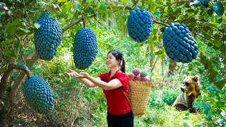 Harvest Blue Annona Goes To Market Sell | Gardening And Cooking | Lý Song Ca