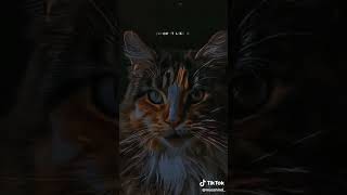 Download Lagu #kece dii dudum MP3