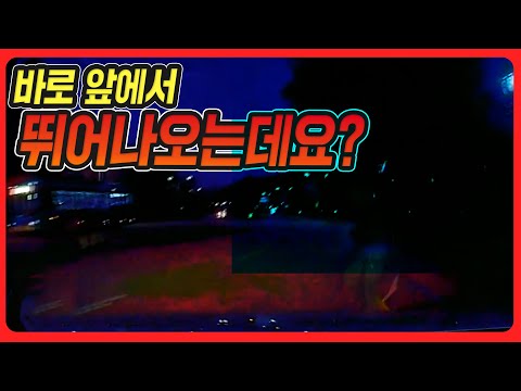 16103회. 버스 앞으로 튀어나오는 무단횡단자와 사고!! 그런데, 택시공제는 보행자 과실이 30% 라고 말합니다