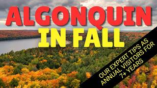 Our Expert Tips for Visiting Algonquin Park in the Fall